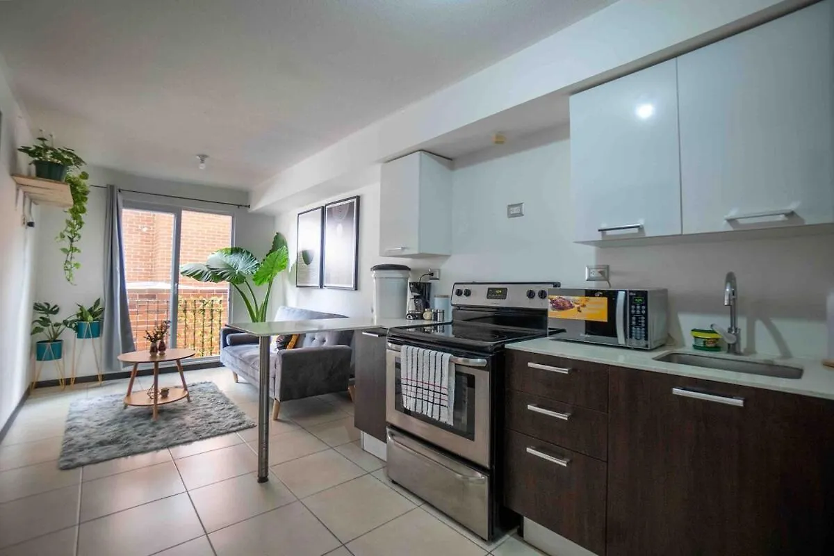 Modern & Cozy Apartment With Terrace Guatemala City